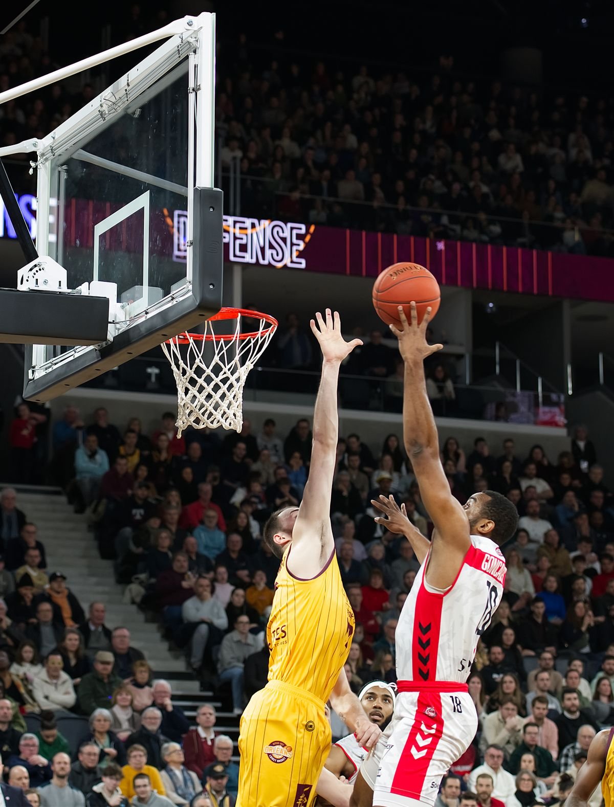 Honey Badgers guard rising for a finish, black-and-white